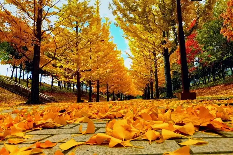 Tạp chí du lịch Wanderlust Tips | Những thành phố lãng mạn dành riêng cho các cặp đôi