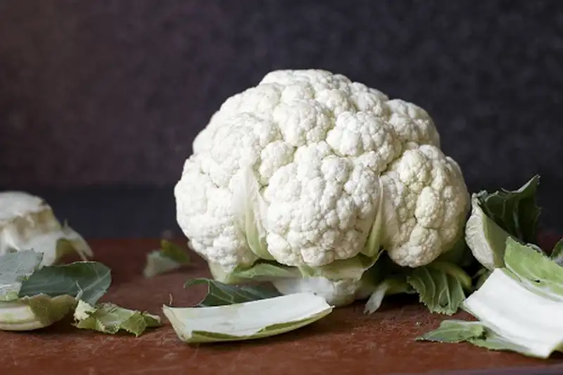 Tạp chí du lịch Wanderlust Tips - Các thực phẩm mùa thu giúp bạn tăng cường sức khỏe