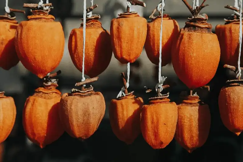 Tạp chí du lịch Wanderlust Tips - Khám phá tinh hoa ẩm thực mùa thu Nhật Bản