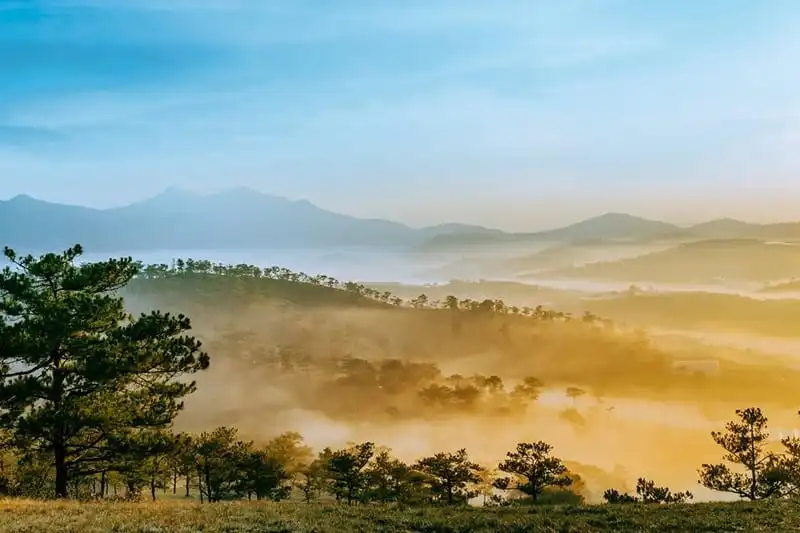 Chàng nghệ sĩ trót yêu Đà Lạt như hơi thở 8 Tạp chí du lịch Wanderlust Tips | Chàng nghệ sĩ trót yêu Đà Lạt như hơi thở