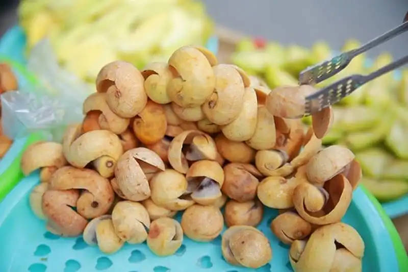 Tạp chí du lịch Wanderlust Tips | Có một Hà Nội bình yên như tranh ngày gió trở mùa