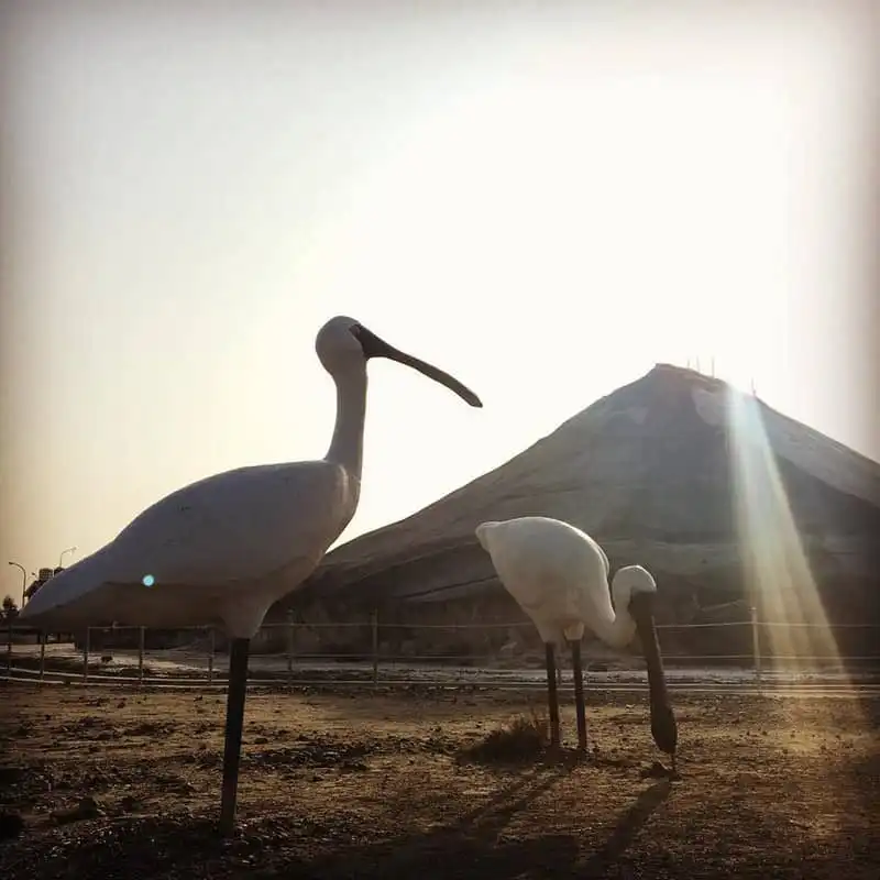 Tạp chí du lịch Wanderlust Tips | Đến Đài Loan ngắm núi muối Thất Cổ "say quên lối về"