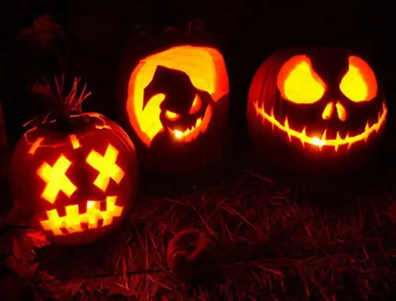 Tạp chí du lịch Wan derlust Tips | Ghé thăm những trang trại bí ngô độc đáo nhất mùa Halloween