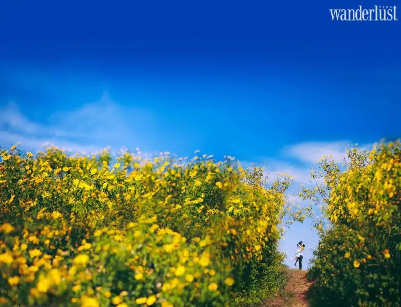 Gợi ý những điểm đến đẹp như mơ cho tháng 10 7 Wanderlust Tips goi y nhung diem den dep nhu mo cho thang 10 01