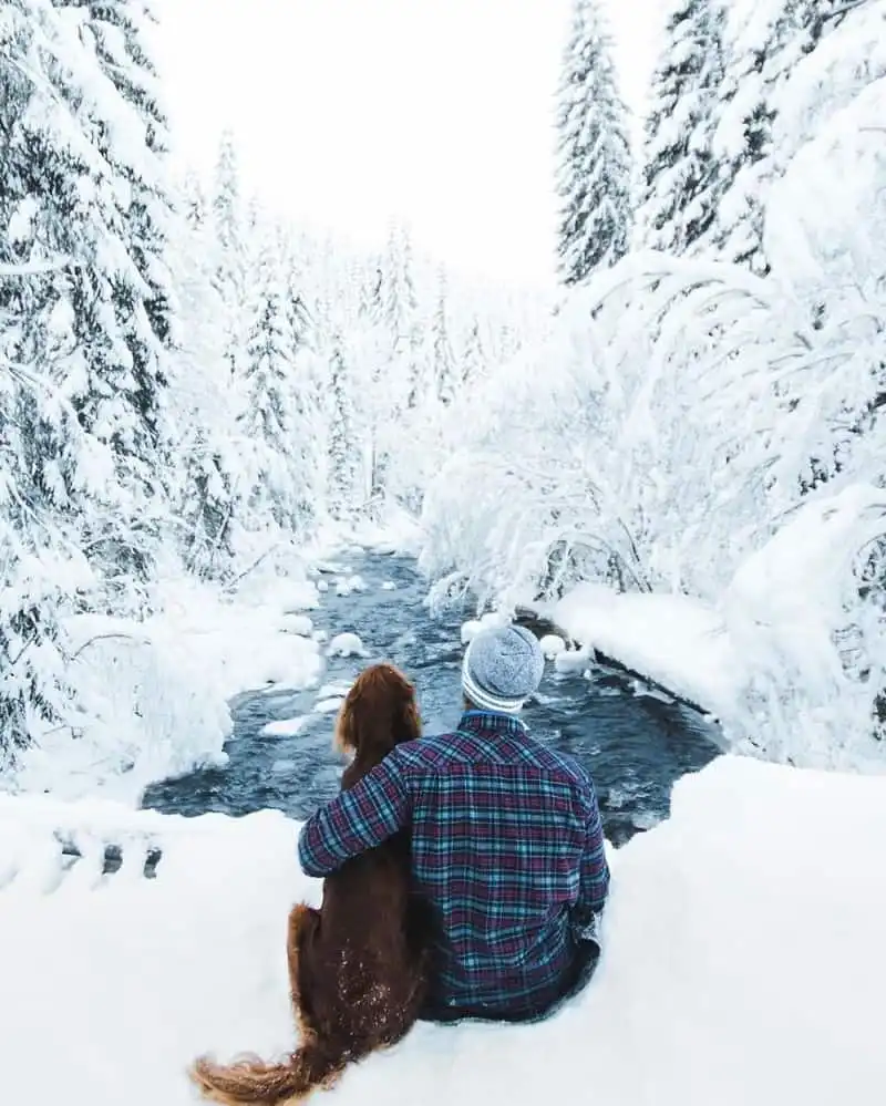 Tạp chí du lịch Wanderlust Tips | Hình ảnh chú chó Troja chụp ở rừng Na Uy gây "sốt" mạng