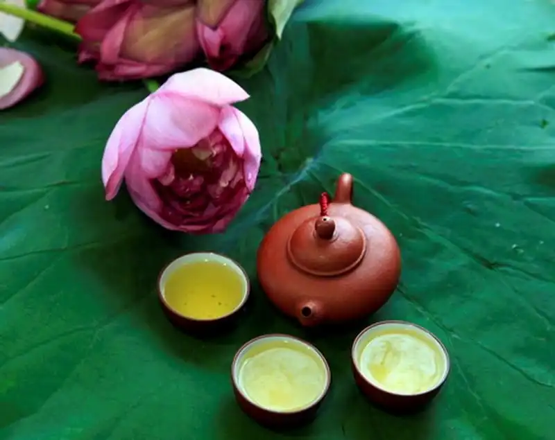 Tạp chí du lịch Wanderlust Tips | Mách bạn 5 loại trà hoa giảm căng thẳng mệt mỏi