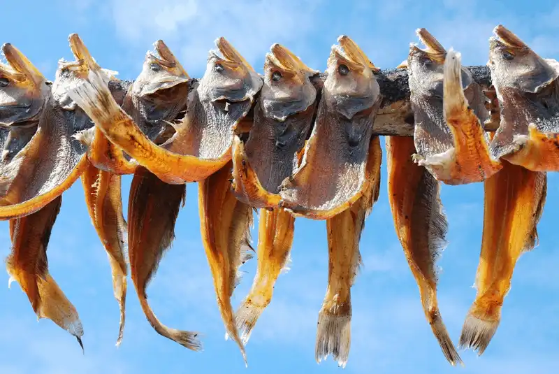 Tạp chí Wanderlust Tips Những món quà không thể thiếu khi trở về từ vùng đất Iceland