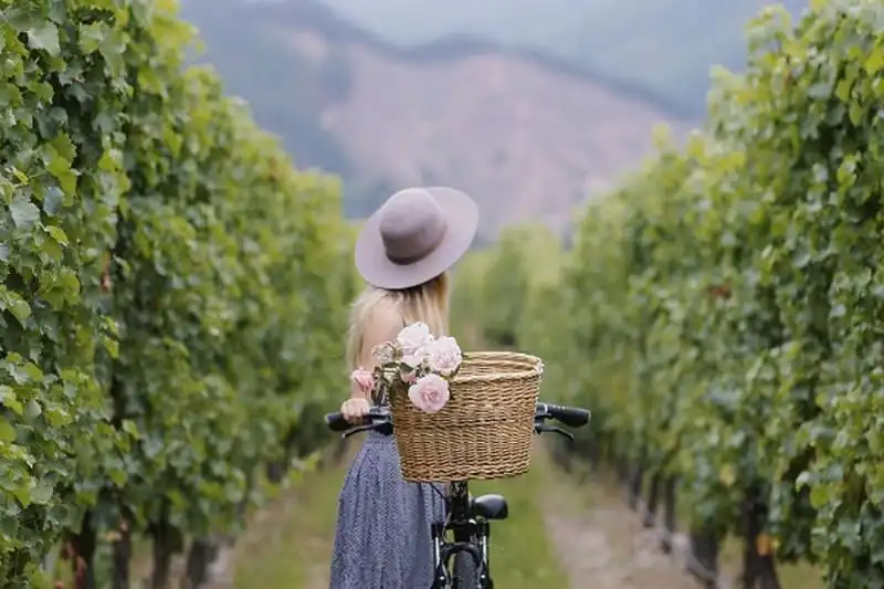 Tạp chí du lịch Wanderlust Tips | Đây là những điều bạn nên làm sau mỗi chuyến du lịch