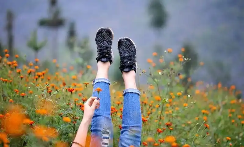 Tạp chí du lịch Wanderlust Tips | Say mùa hoa cúc dại rực vàng trên miền đá Hà Giang