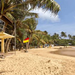 Wanderlust Tips sri lanka dan dau danh sach 10 quoc gia can phai den trong nam 2019 5