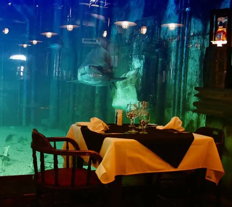 Top nhà hàng độc đáo ở xứ sở hoang dã châu Phi 6 Tạp chí du lịch Wanderlust Tips | Top nhà hàng độc đáo ở xứ sở hoang dã châu Phi