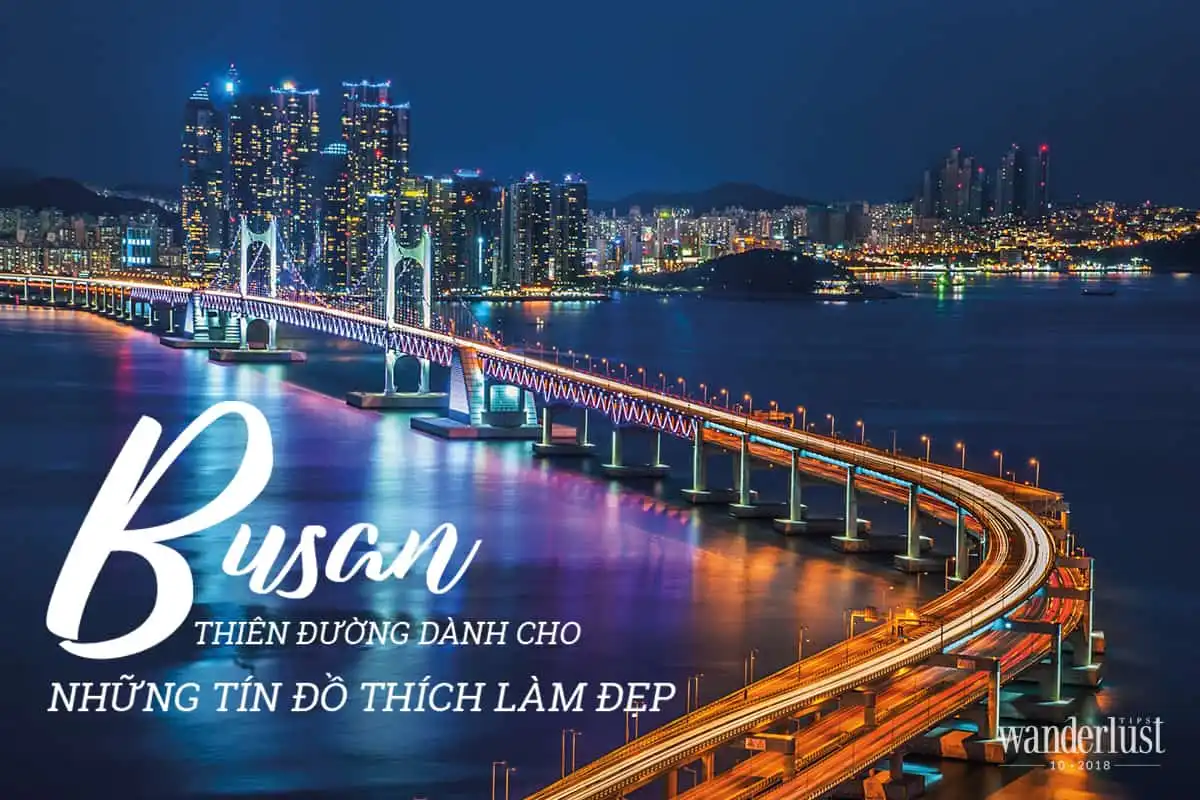 wanderlust tips busan thien duong cho nhung tin do thich lam dep 00