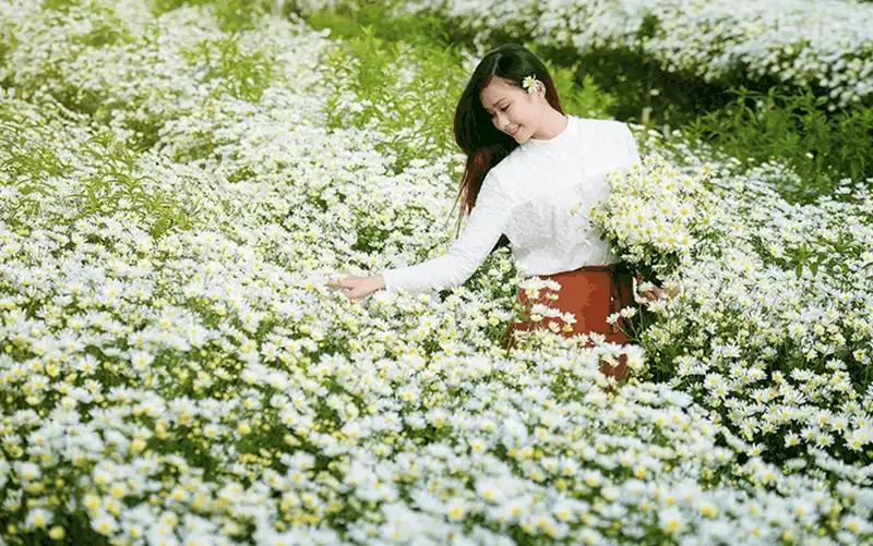 Tạp chí du lịch Wanderlust Tips - Check-in những cánh đồng hoa tuyệt đẹp trong tháng 10