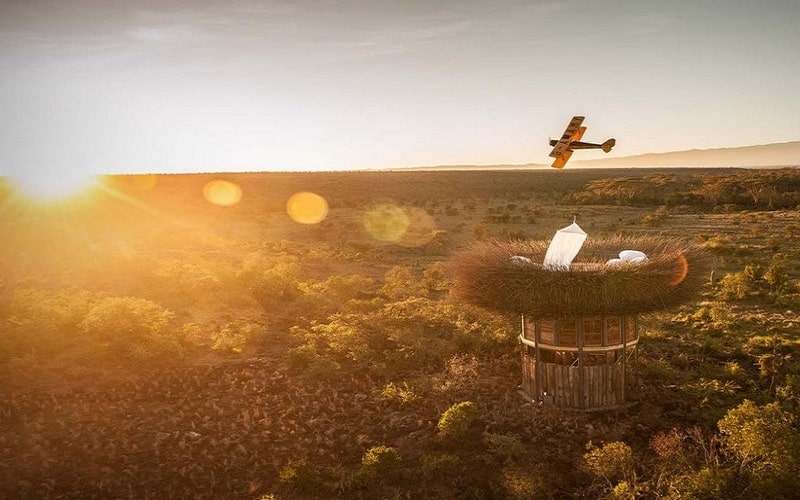 Độc đáo khách sạn 5 sao hình "tổ chim" giữa thiên nhiên hoang sơ 5 Tạp chí du lịch Wanderlust Tips | Độc đáo khách sạn 5 sao hình "tổ chim" giữa thiên nhiên hoang sơ