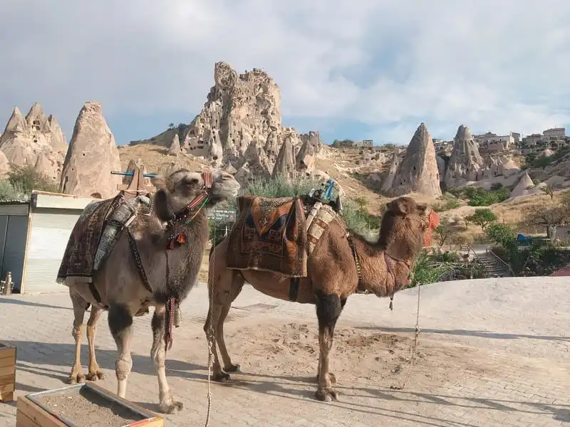 Tạp chí Du lịch Wanderlust Tips | 9X mê du lịch: Mỗi miền đất là một sắc màu tươi đẹp