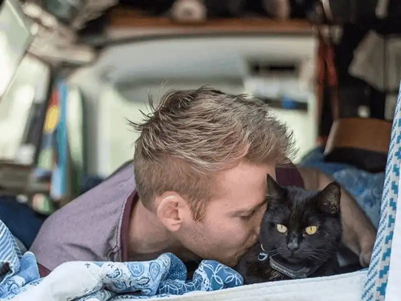 Anh chàng độc thân đi du lịch khắp nước Úc cùng cô mèo cưng 6 Tạp chí du lịch Wanderlust Tips Anh chàng độc thân đi du lịch khắp nước ÚC cùng cô mèo cưng