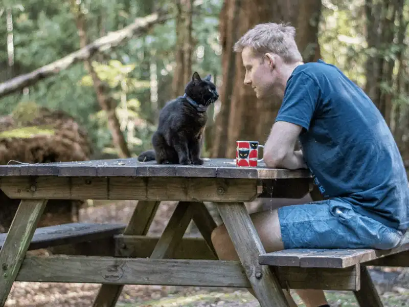 Anh chàng độc thân đi du lịch khắp nước Úc cùng cô mèo cưng 8 Tạp chí du lịch Wanderlust Tips Anh chàng độc thân đi du lịch khắp nước ÚC cùng cô mèo cưng