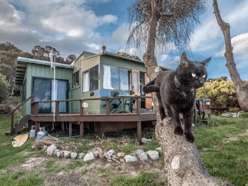 Anh chàng độc thân đi du lịch khắp nước Úc cùng cô mèo cưng 15 Tạp chí du lịch Wanderlust Tips Anh chàng độc thân đi du lịch khắp nước ÚC cùng cô mèo cưng