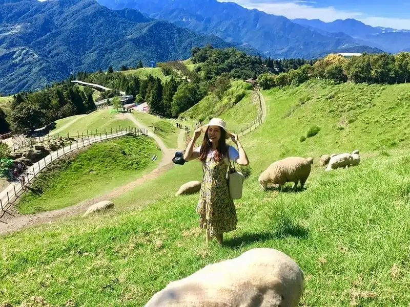 Cô gái Sài thành chạm vào giấc mơ mang tên Phượng Hoàng cổ trấn 11 Tạp chí Du lịch Wanderlust Tips | Cô gái Sài thành chạm vào giấc mơ mang tên Phượng Hoàng cổ trấn