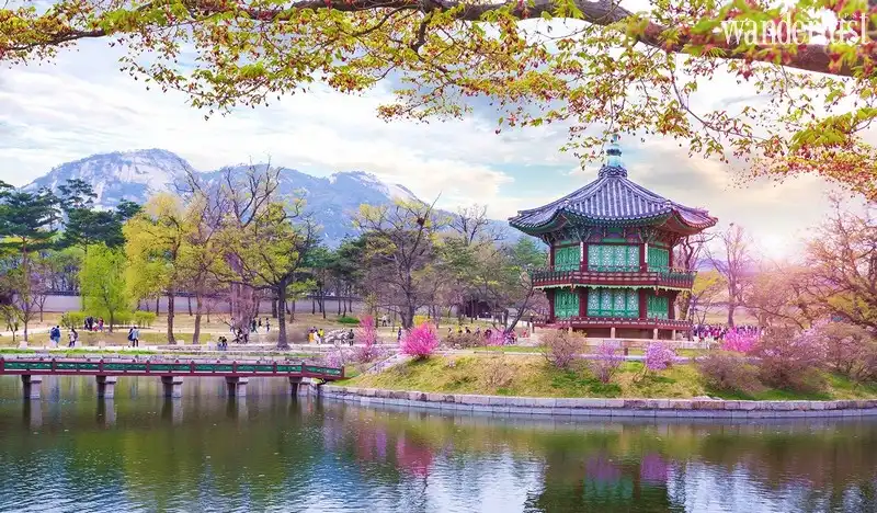 Điểm danh những tour du lịch châu Á được yêu thích nhất 6 Tạp chí Du lịch Wanderlust Tips Điểm danh những tour du lịch châu Á được yêu thích nhất