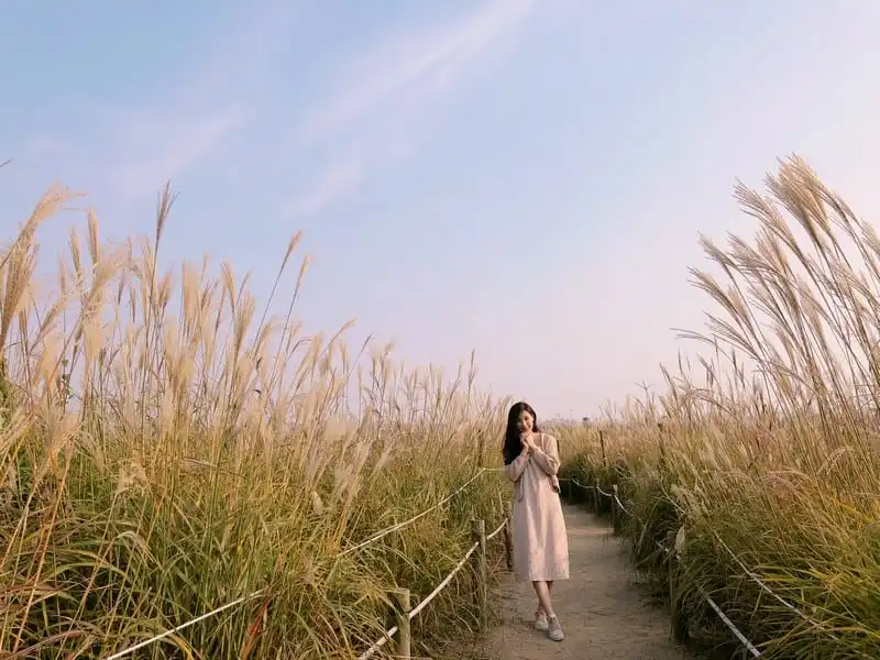 Tạp chí Du lịch Wanderlust Tips | Hoa hậu Phí Thùy Linh du lịch Hàn Quốc cùng con trai đầu lòng