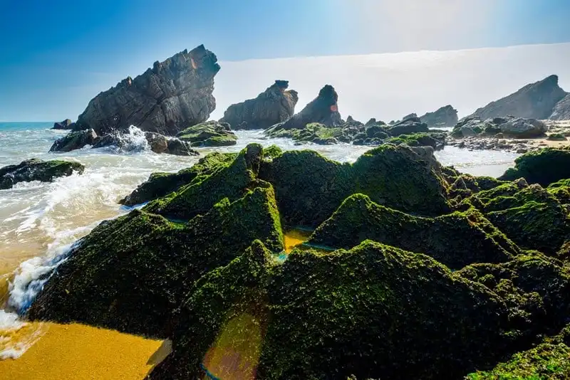 Tạp chí du lịch Wanderlust Tips | Khám phá Quảng Bình - Phim trường của "Người bất tử"