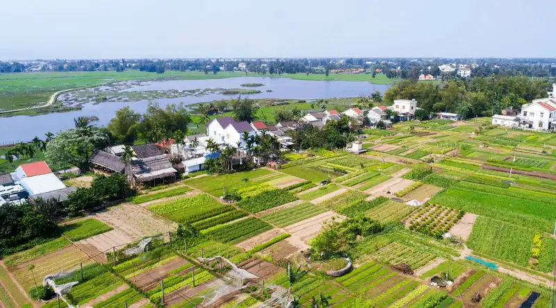 Một ngày làm nông dân ở Trà Quế, Hội An 8 Tạp chí du lịch Wanderlust Tips Một ngày làm nông dân ở Trà Quế, Hội An