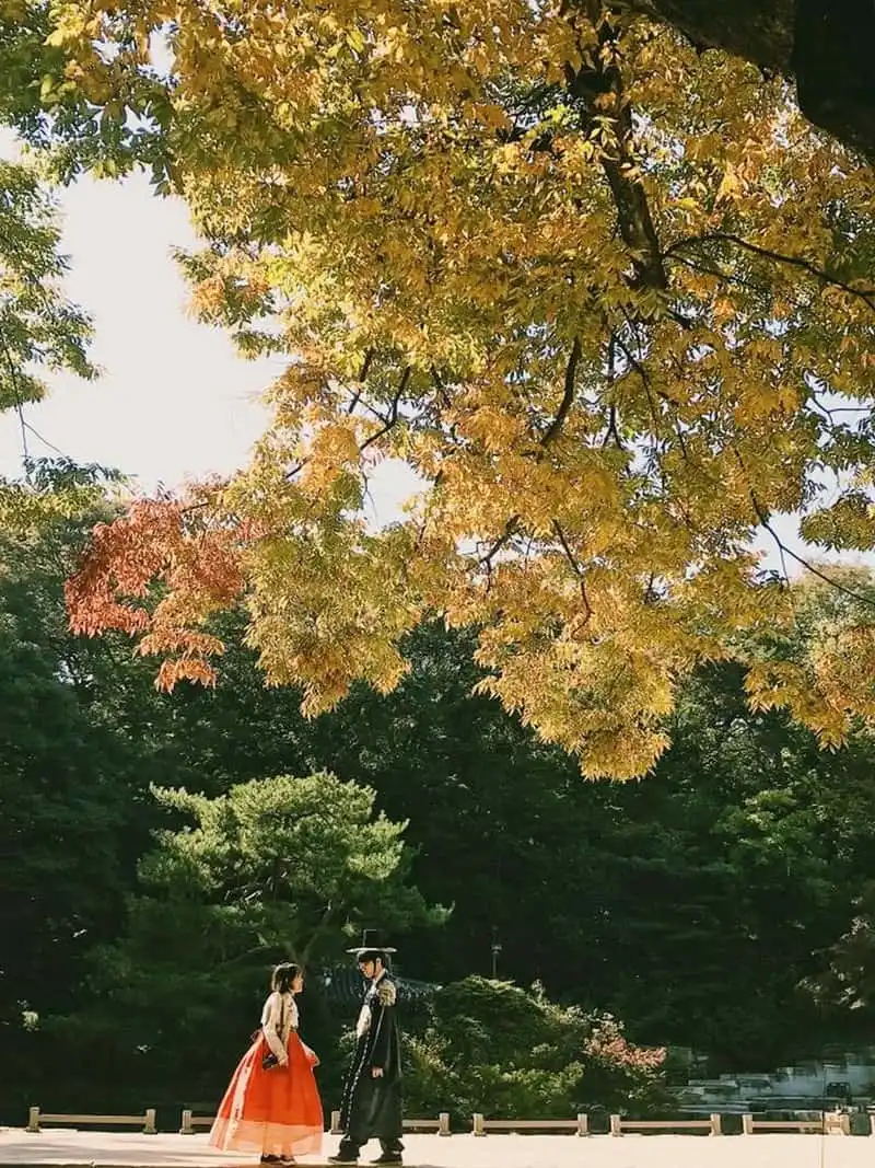 Tạp chí du lịch Wanderlust Tips | "Mùa thu Hàn Quốc nhìn góc nào cũng tựa bản ballad buồn"