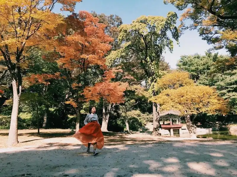 Tạp chí du lịch Wanderlust Tips | "Mùa thu Hàn Quốc nhìn góc nào cũng tựa bản ballad buồn"