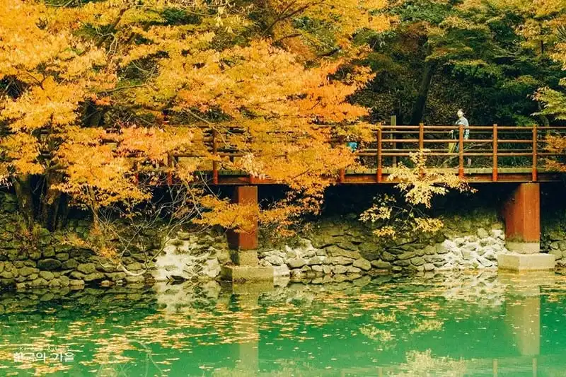 Tạp chí du lịch Wanderlust Tips | "Mùa thu Hàn Quốc nhìn góc nào cũng tựa bản ballad buồn"