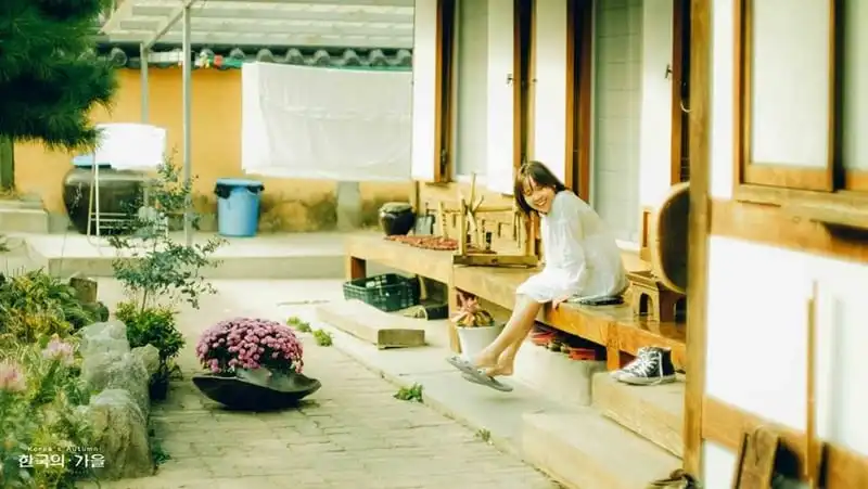 Tạp chí du lịch Wanderlust Tips | "Mùa thu Hàn Quốc nhìn góc nào cũng tựa bản ballad buồn"