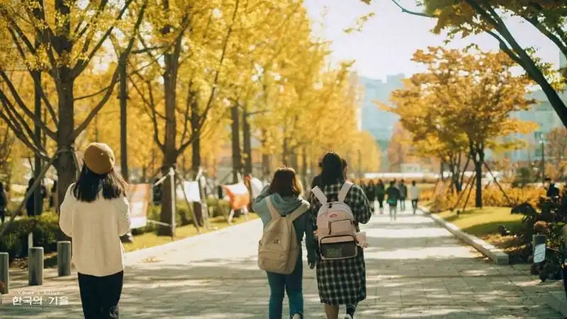 Tạp chí du lịch Wanderlust Tips | "Mùa thu Hàn Quốc nhìn góc nào cũng tựa bản ballad buồn"