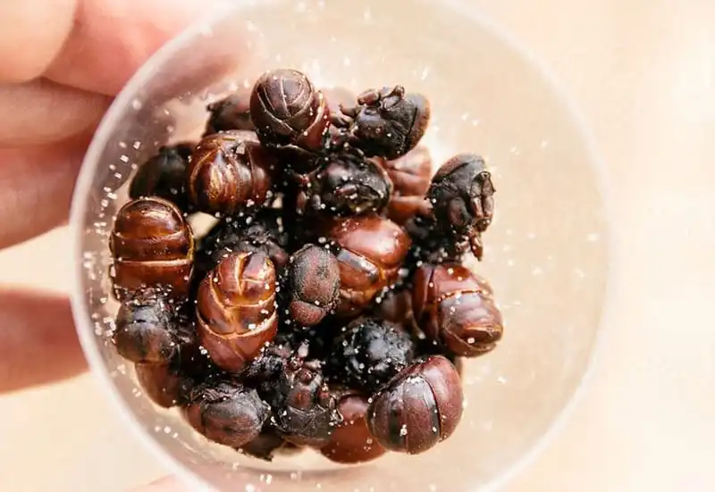 Tạp chí Du lịch Wanderlust Tips | Muôn màu ẩm thực Colombia hấp dẫn và quyến rũ