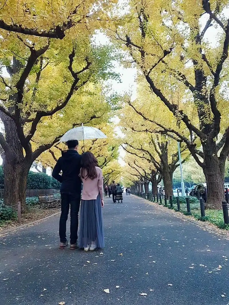 Tạp chí Du lịch Wanderlust Tips | Nhật ký khám phá xứ sở Phù Tang của cô gái mê xê dịch