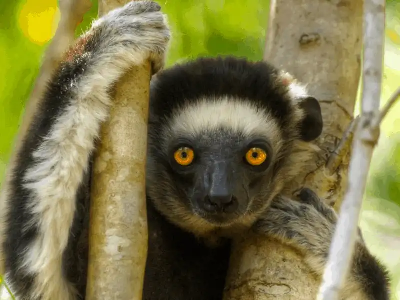 Những điểm tham quan vào tháng 12 cho mọi loại hình du lịch 9 Tạp chí du lịch Wanderlust Tips Những điểm tham quan vào tháng 12 cho mọi loại hình du lịch