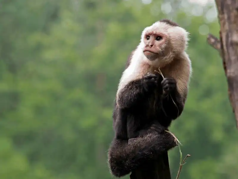 Tạp chí du lịch Wanderlust Tips Những điều bạn tuyệt đối không nên làm khi đến Costa Rica