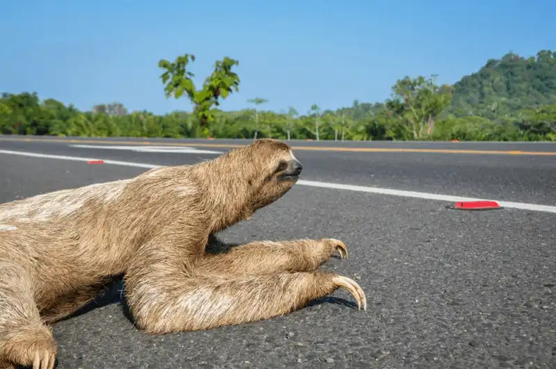 Tạp chí du lịch Wanderlust Tips Những điều bạn tuyệt đối không nên làm khi đến Costa Rica