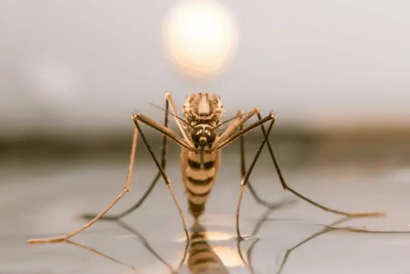 Tạp chí du lịch Wanderlust Tips Những điều bạn tuyệt đối không nên làm khi đến Costa Rica