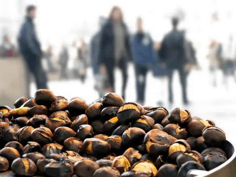 Những món ăn đường phố "làm mưa làm gió" ở Vienna 6 Tạp chí du lịch Wanderlust Tips Những món ăn đường phố "làm mưa làm gió" ở Vienna