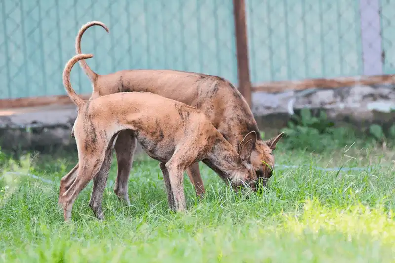 Tạp chí du lịch Wanderlust Tips Những trải nghiệm "đốn tim" du khách khi đến Phú Quốc