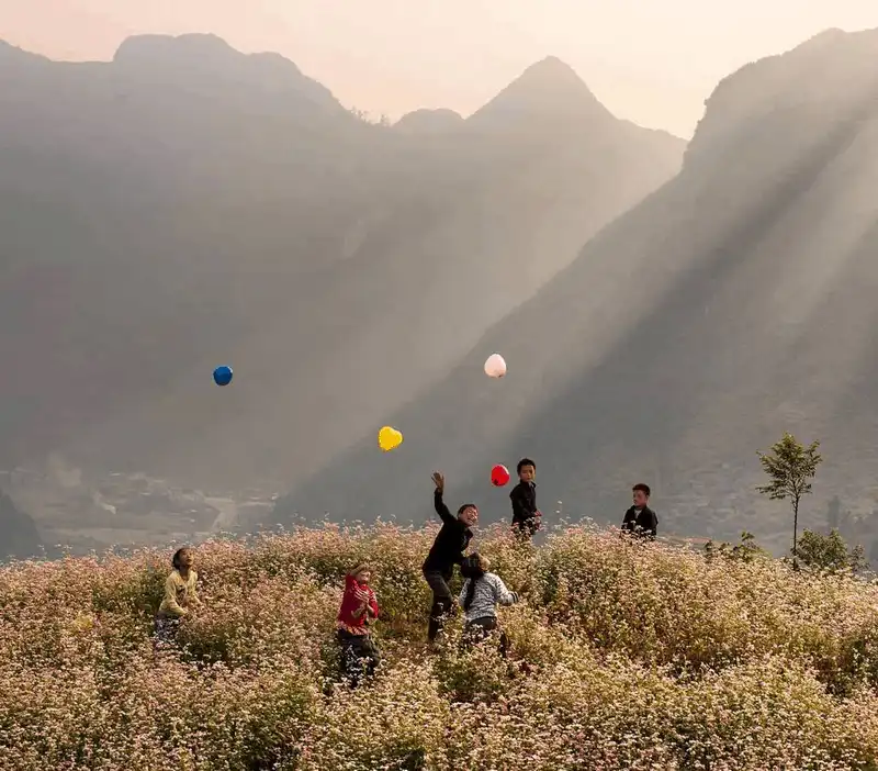 Tạp chí du lịch Wanderlust Tips Tháng 11, Hà Giang tổ chức Lễ hội hoa tam giác mạch