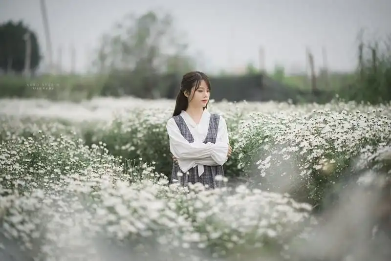 Thiếu nữ xuyến xao mùa cúc họa mi gọi đông về trên phố 7 Tạp chí Du lịch Wanderlust Tips | Thiếu nữ xuyến xao mùa cúc họa mi gọi đông về trên phố