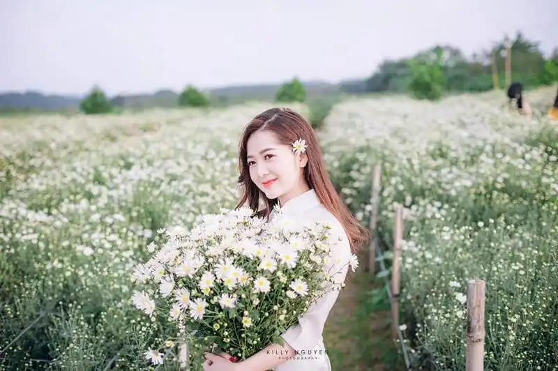 Thiếu nữ xuyến xao mùa cúc họa mi gọi đông về trên phố 13 Tạp chí Du lịch Wanderlust Tips | Thiếu nữ xuyến xao mùa cúc họa mi gọi đông về trên phố