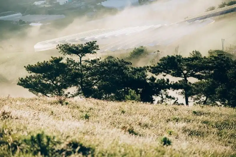 Tạp chí du lịch Wanderlust Tips | Thời thanh xuân đừng bỏ lỡ Đà Lạt, miền đất không có gì ngoài an nhiên...