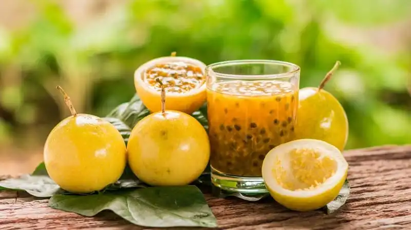 Tạp chí du lịch Wanderlust Tips | Trải nghiệm ẩm thực Panama độc đáo