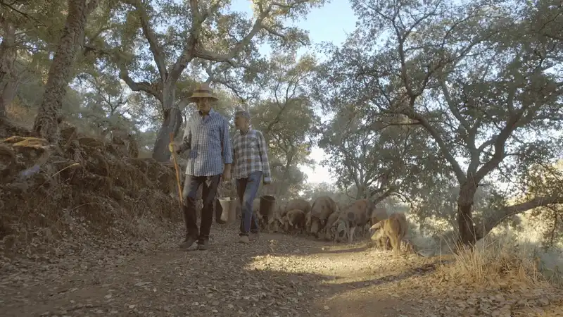 Truy tìm loại giăm bông đắt nhất thế giới 8 Tạp chí du lịch Wanderlust Tips Truy tìm loại giăm bông đắt nhất thế giới