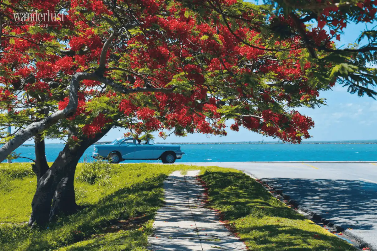 Varadero - Thiên đường biển xanh 7 Tạp chí du lịch Wanderlust Tips Varadero, thiên đường biển xanh - điểm đến