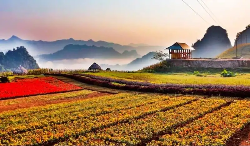 Bình nguyên xanh Khai Trung đẹp mê đắm lòng người 5 Tạp chí Wanderlust Tips Bình nguyên xanh Khai Trung đẹp mê đắm lòng người