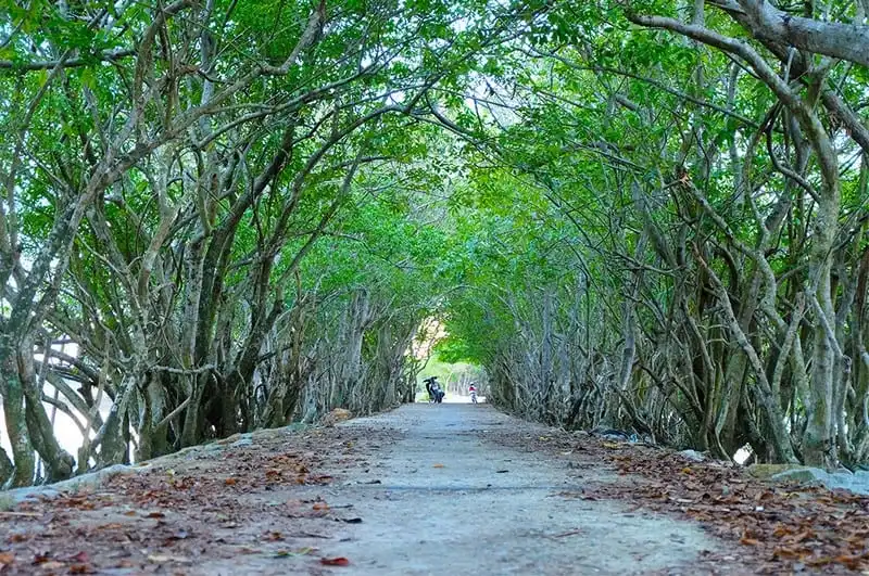 Có một Rú Chá Huế rất đỗi dịu dàng 6 Wanderlust Tips Có một Rú Chá Huế rất đỗi dịu dàng