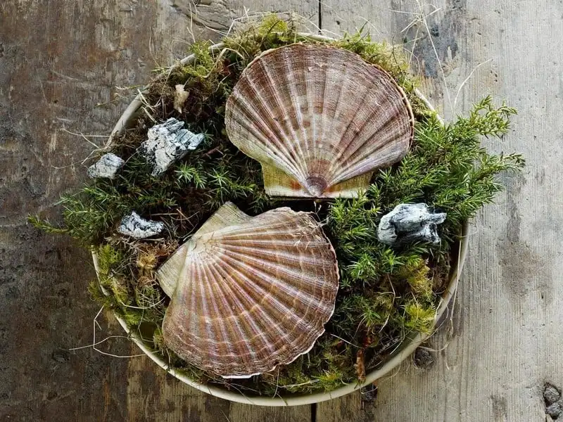 Tạp chí Wanderlust Tips Ghé nhà hàng Fäviken nơi hẻo lánh nhưng luôn đông khách